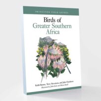 Books / Field Guides of Africa