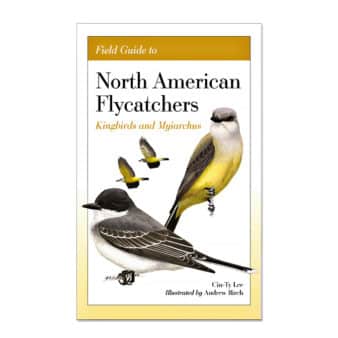 Field Guide to North American Flycatchers, Kingbirds and Myiarchus, available at The Audubon Shop, the best shop for bird and nature books, Madison CT