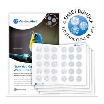 Window Alert Bundle and Save 4 Sheet Bundle, available at The Audubon Shop, Madison CT