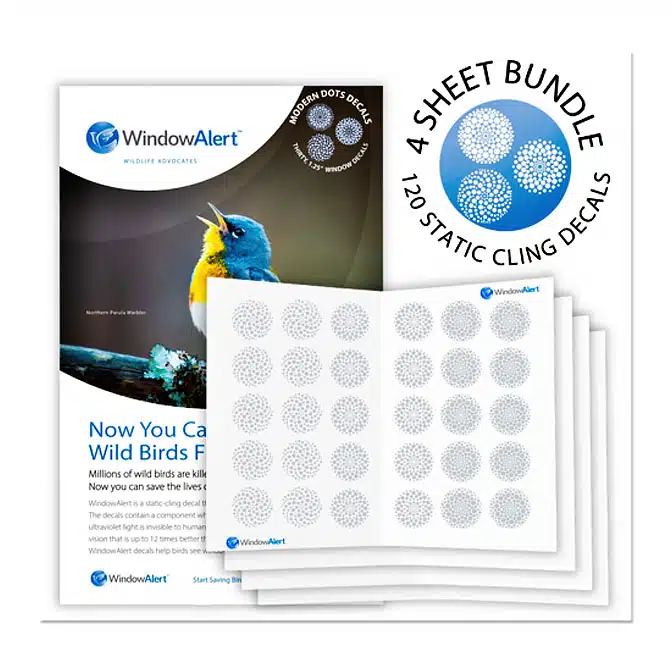 Window Alert Bundle and Save 4 Sheet Bundle, available at The Audubon Shop, Madison CT