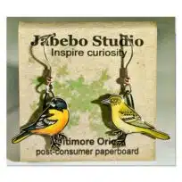Jabebo Baltimore Oriole Earrings, available at The Audubon Shop, the best shop for bird watchers, Madison CT