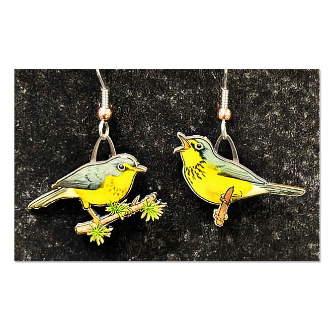 Jabebo Canada Warbler Earrings, available at The Audubon Shop, the best shop for nature gifts, Madison CT