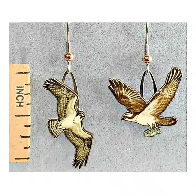 Jabebo Osprey Earrings, available at The Audubon Shop, the best shop for bird earrings, Madison CT