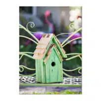 Bluebird Brights Nesting Box, available at The Audubon Shop, the best shop for nesting boxes, Madison CT