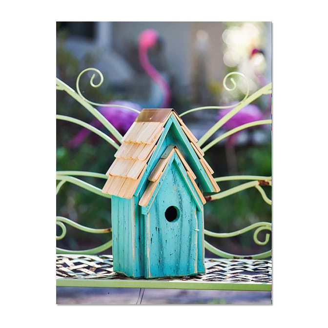 Bluebird Brights Nesting Box, available at The Audubon Shop, the best shop for nature gifts, Madison CT