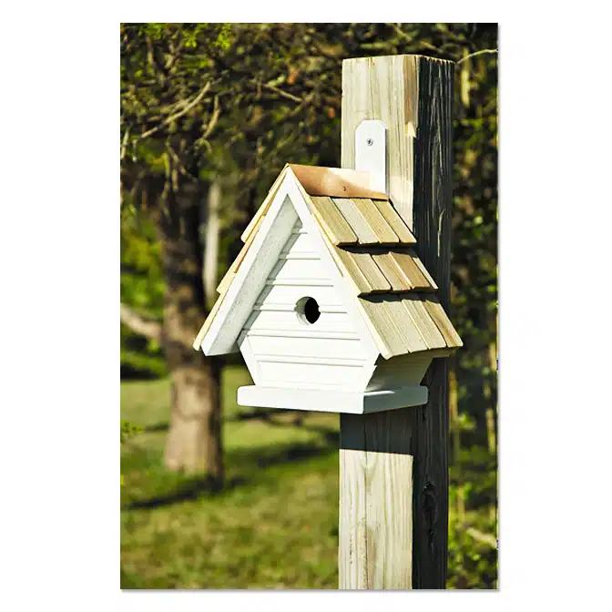 Chick Nesting Box in whitewashed, available at The Audubon Shop, the best shop for bird watchers, Madison CT
