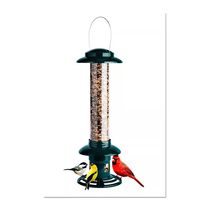 Brome Squirrel Buster Evolution Bird Feeder, available at The Audubon Shop, the best shop for bird feeders, Madison CT
