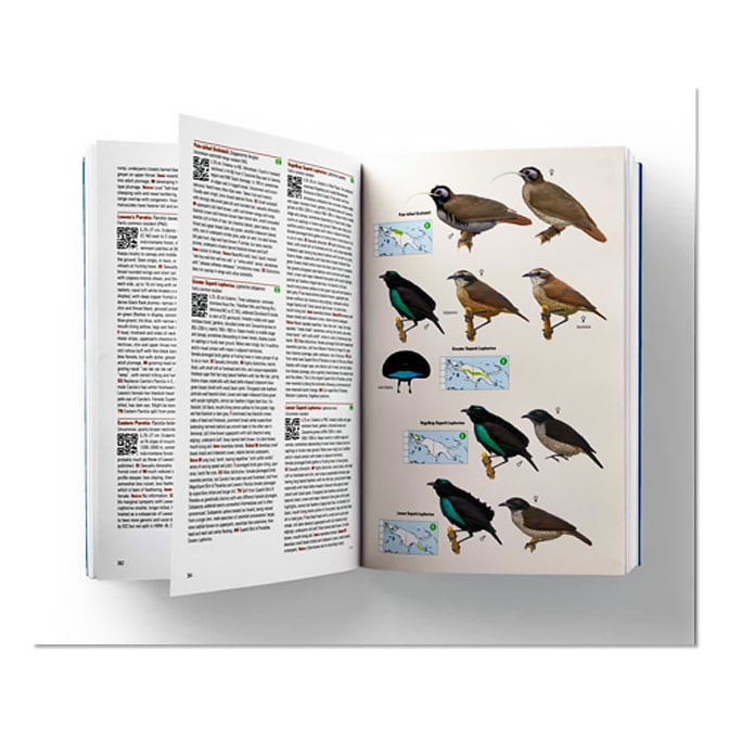 Birds of New Guinea Field Guide, available at The Audubon Shop, the best shop for field guides, Madison CT