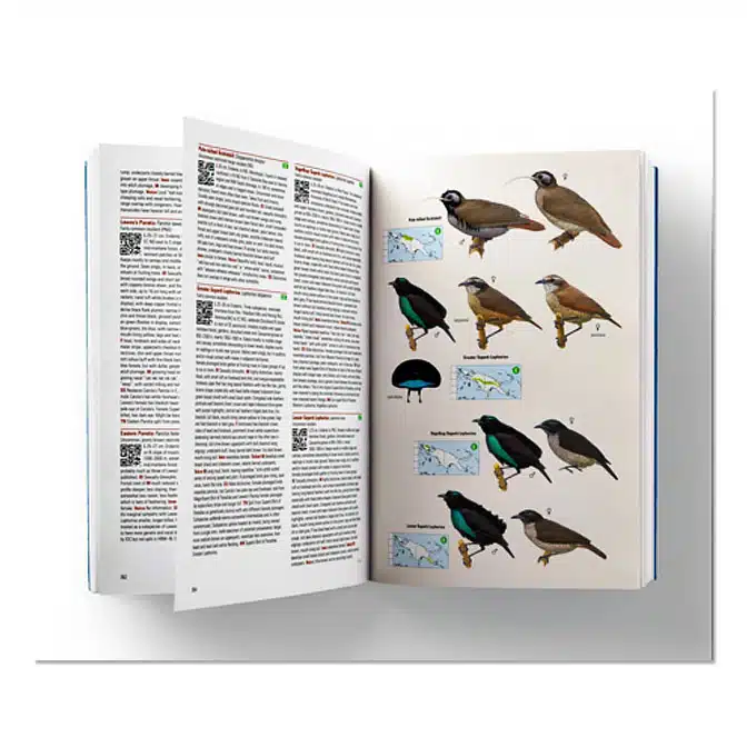 Birds of New Guinea Field Guide, available at The Audubon Shop, the best shop for field guides, Madison CT