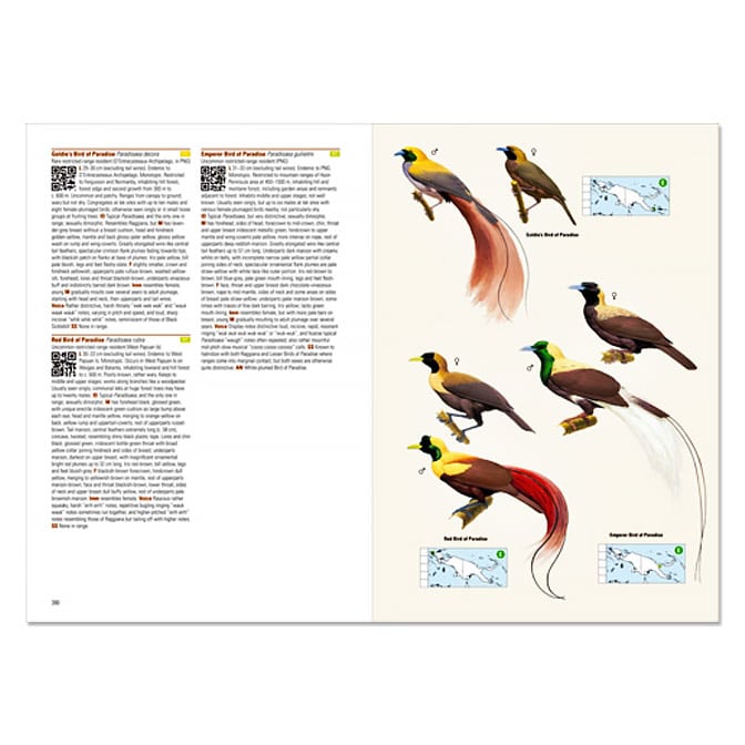 Birds of New Guinea Field Guide, available at The Audubon Shop, the best shop for field guides, Madison CT