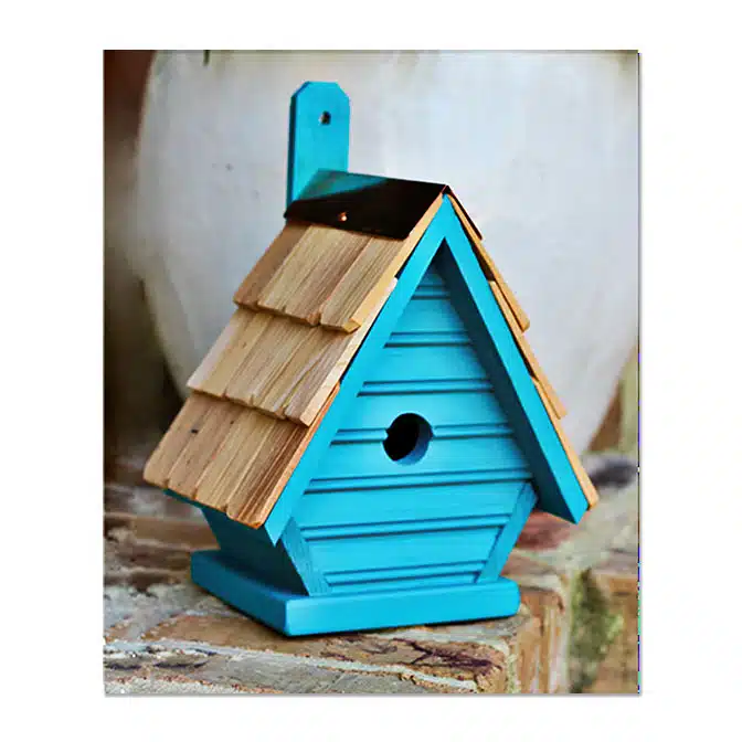 Chick Nesting Box in Teal, available at The Audubon Shop, the best shop for bird houses and nesting boxes, Madison CT