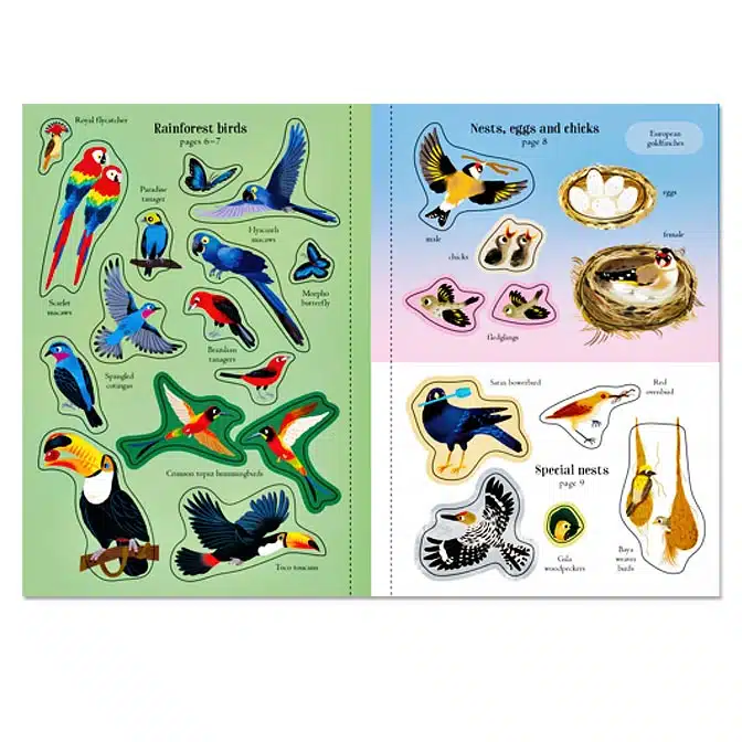 Little First Stickers Birds, available at The Audubon Shop, the best shop for nature gifts, Madison CT