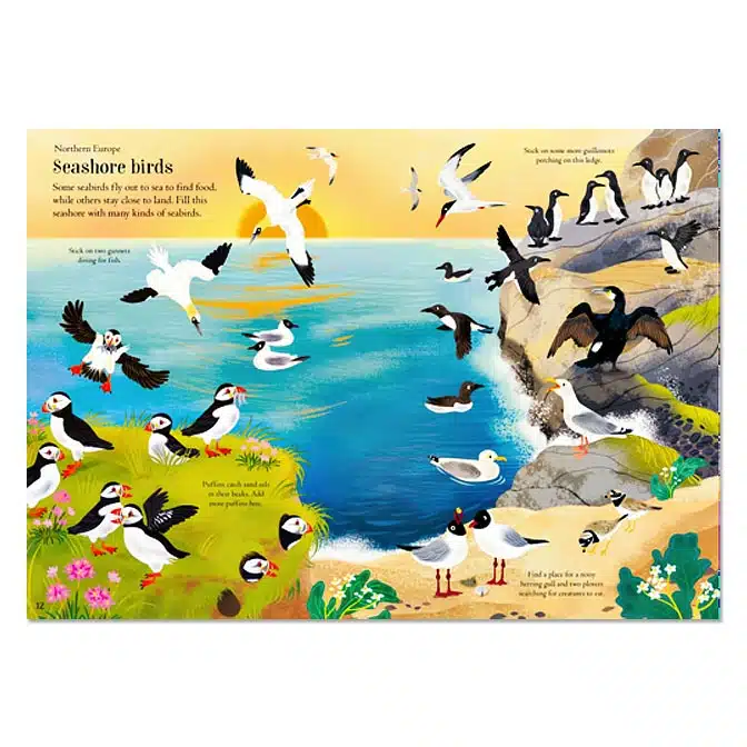 Little First Stickers Birds, available at The Audubon Shop, the best shop for nature gifts, Madison CT