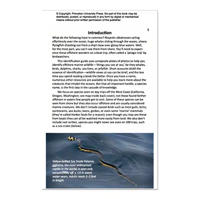 Offshore Sea Life ID Guide West Coast, available at The Audubon Shop, the best shop for field guides, Madison CT