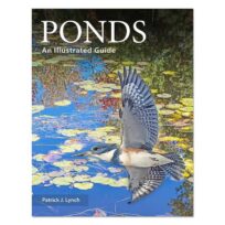 Ponds An Illustrated Guide, available at The Audubon Shop, the best shop for field guides, Madison CT