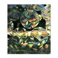 Dots Window Gems, available at The Audubon Shop, the best shop for people who love birds, Madison CT 