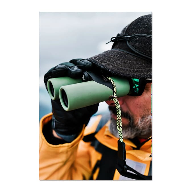 Swarovski 10x30 Companion Binocular, available at The Audubon Shop, the best shop for binoculars and telescopes, Madison CT