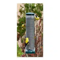 Aspects QC Spruce Finch Mesh Feeder, available at The Audubon Shop, the best shop for bird feeders, Madison CT