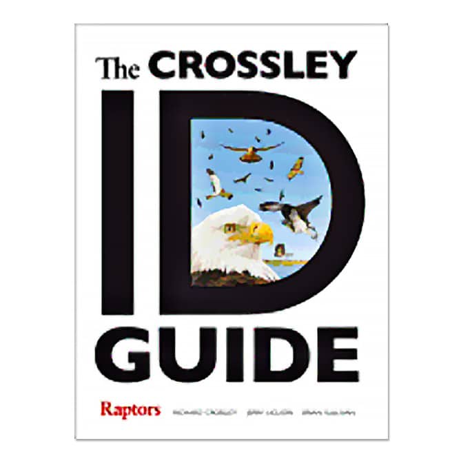 Crossley ID Guide Raptors, available at The Audubon Shop, the best shop for field guides, Madison CT