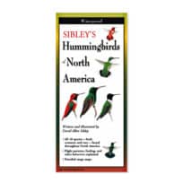 Folding Field Guide Sibley's Hummingbirds of North America, available at The Audubon Shop, the best shop for bird watchers, Madison CT