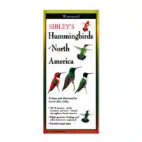 Folding Field Guide Sibley's Hummingbirds of North America, available at The Audubon Shop, the best shop for bird watchers, Madison CT