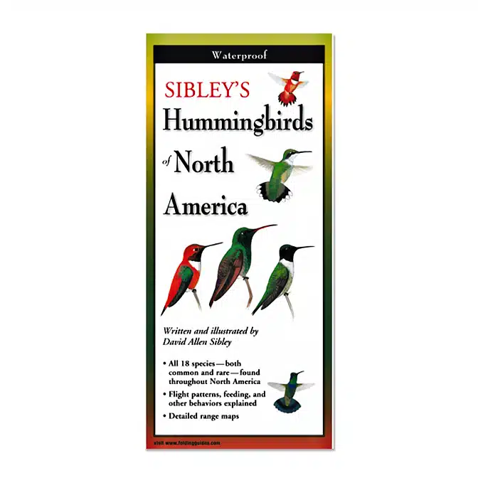 Folding Field Guide Sibley's Hummingbirds of North America, available at The Audubon Shop, the best shop for bird watchers, Madison CT