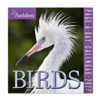 Audubon Birds Page-A-Day® Calendar 2027, available at The Audubon Shop, the best shop for nature gifts, Madison CT