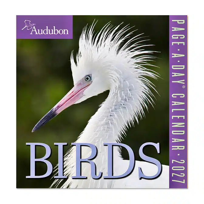 Audubon Birds Page-A-Day® Calendar 2027, available at The Audubon Shop, the best shop for nature gifts, Madison CT