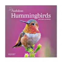 Audubon Hummingbirds Mini Wall Calendar 2027, available at The Audubon Shop, the best shop for nature gifts, Madison CT