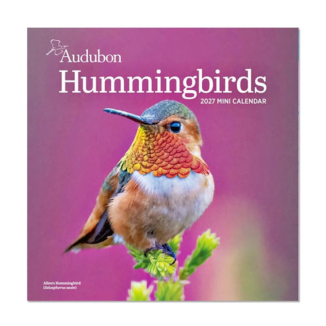 Audubon Hummingbirds Mini Wall Calendar 2027, available at The Audubon Shop, the best shop for nature gifts, Madison CT